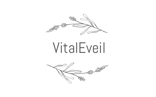 logoOFF-removebg-preview